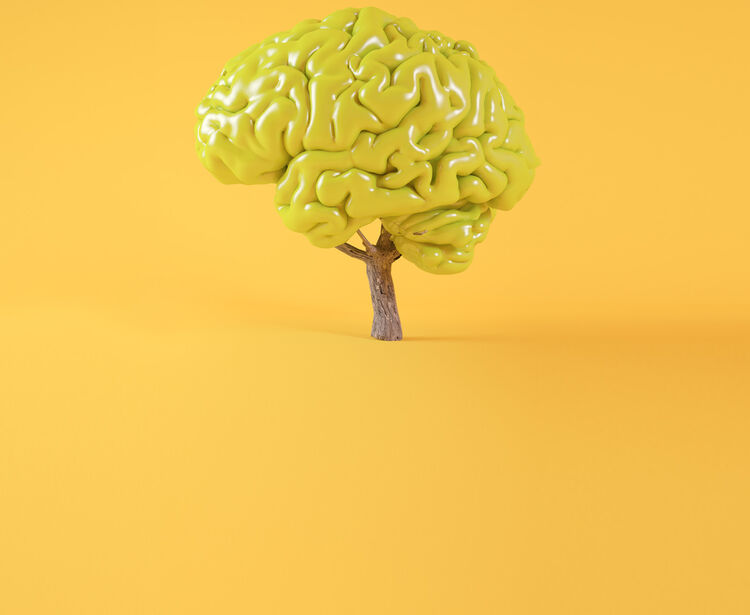 Educação Emocional